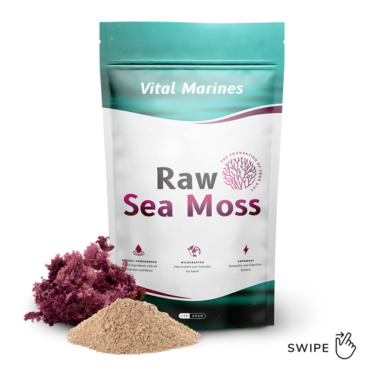 Raw Sea Moss | 1 maand voorraad | 150 gram poeder